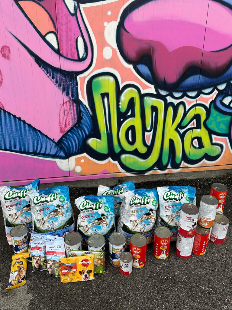 A photo of the Lajka shelter displaying the donated food and essential pet supplies provided by UM Skopje as part of their Impact Day humanitarian initiative.